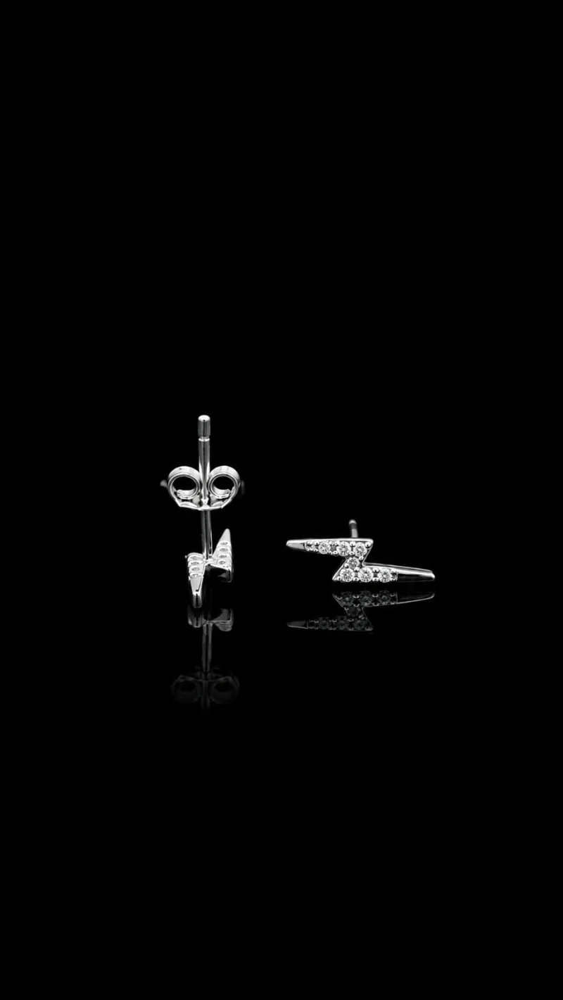 Zara Edge Geometric Earrings